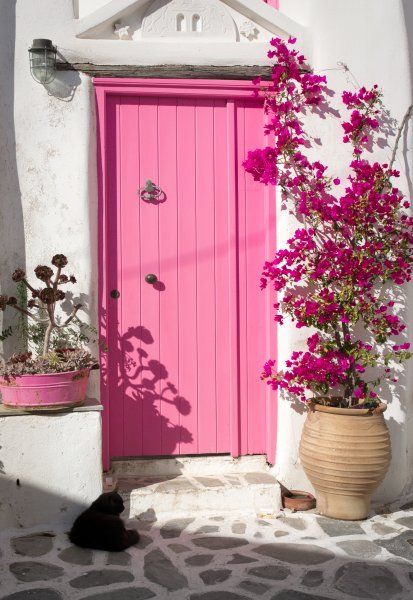 ...pink door, black cat..
