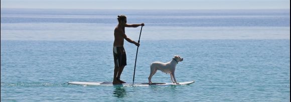 Dog Surfing Paros