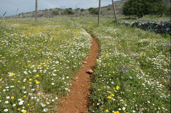 On the way from town to the Monastry of Zourva