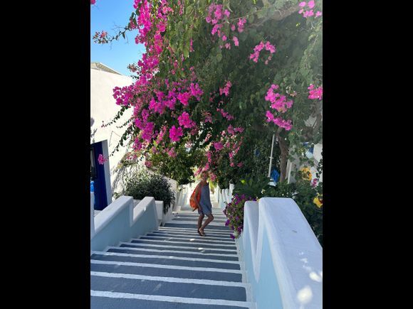 This beautiful staircase leads to our hotel, Korali