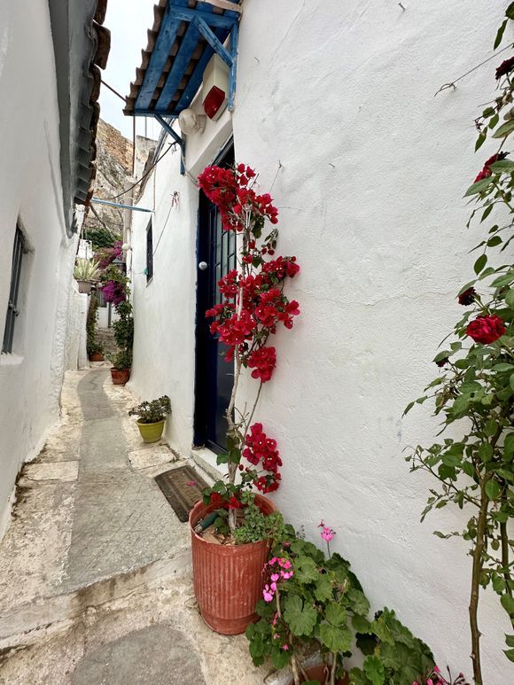 Narrow streets and nice houses and gardens