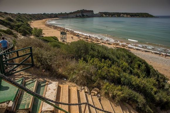 The large beach (early in the morning) near which the turtles are srensed try to lay eggs (...)