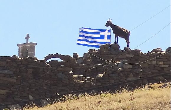 Even the goats are proud to be Greek!