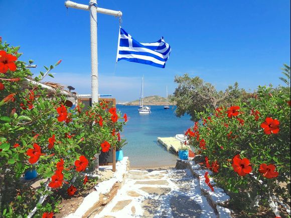 ...Oxi Day....let the flags fly with pride and vigour....