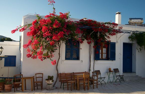 Paros