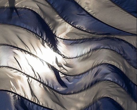 Flag in the breeze