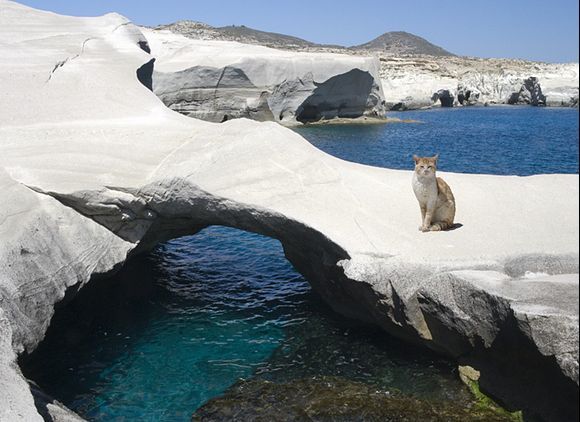 Milo at Sarakiniko: I can\'t believe this place; and it\'s not that far from home either.