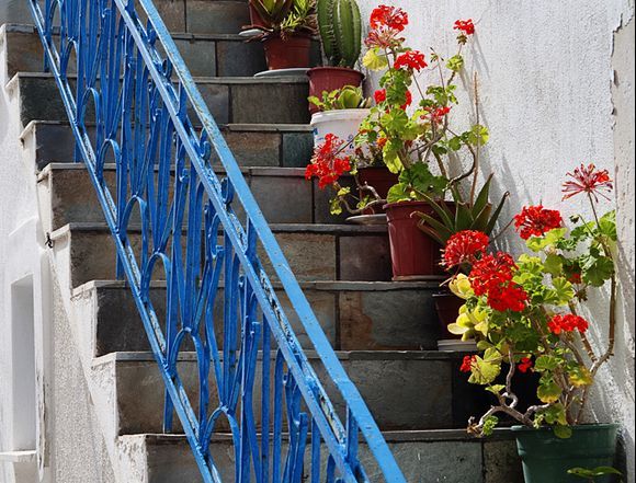 Geraniums on stairway - Parikia