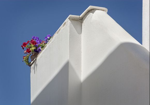 Flower pot on the roof