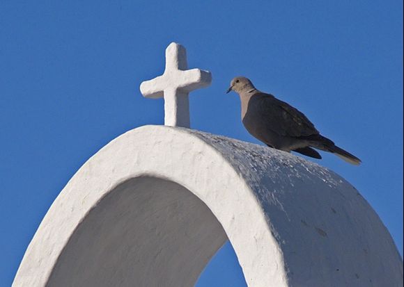 Cross with dove at Adamas Cemetery.