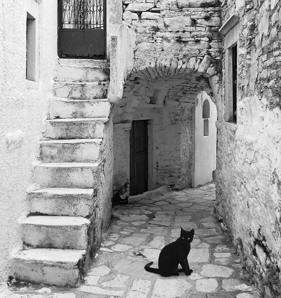 Alley in Aperathos with post-production cat.