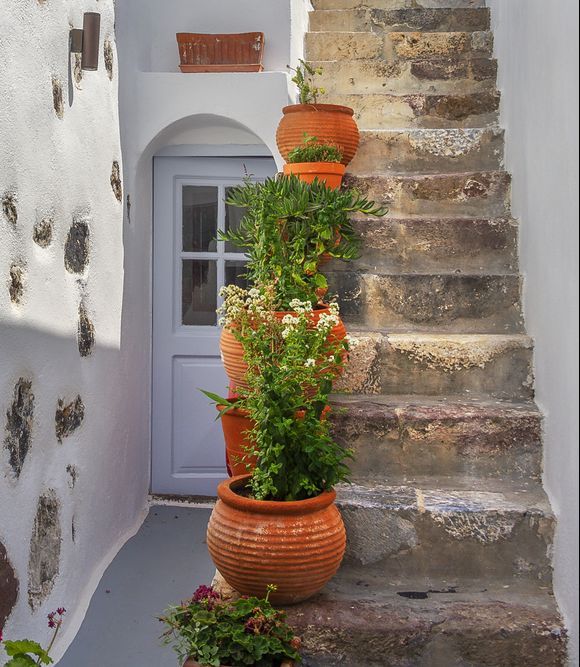 Stairs with pots.