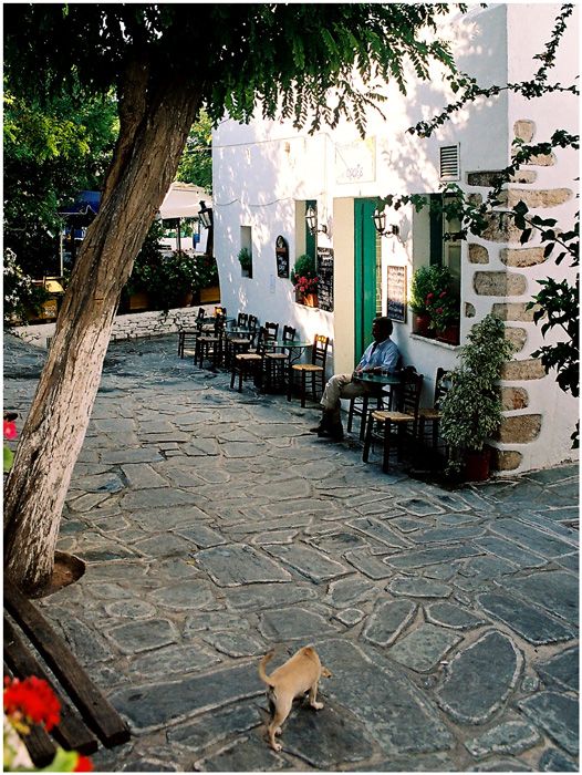 At the cafe in the morning. Folegandros, 2007