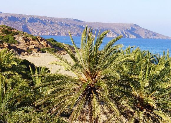 east Crete - Vai beach