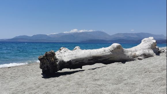 Beautiful tree trunk on the beach of Mavrovouni

June 29, 2023