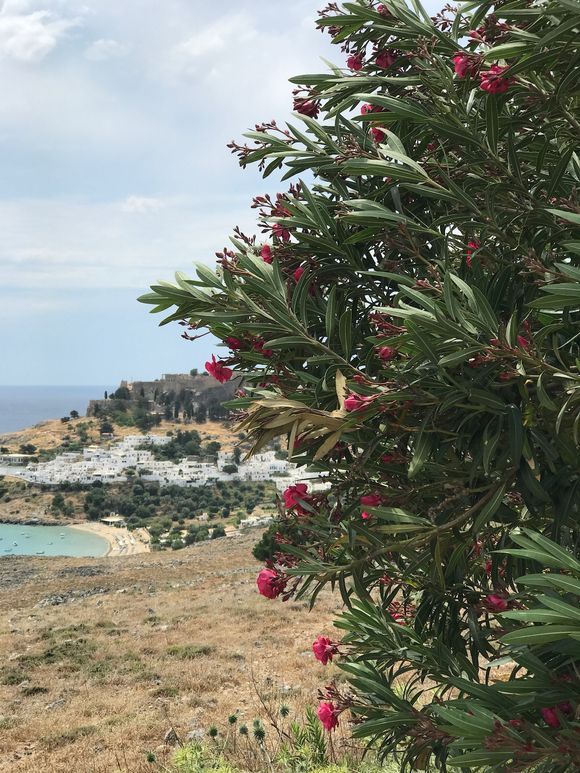 From the main road, looking down on Lindos village and the Acropolis.