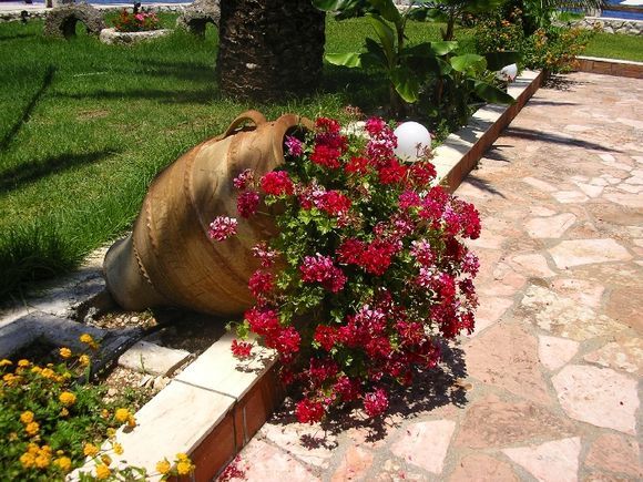 Flowers - Melissani beach (June 2010)