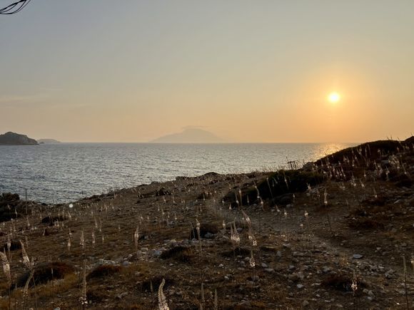 On a winters day, with wild flowers rising up like candles, the locals say when in numbers, rain is coming.Looking out to Kasos from Finiki with brave Helios basking everything with his eternal light.