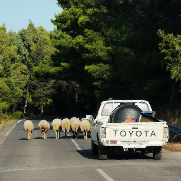 Rush hour on Kythira is so relaxing! 