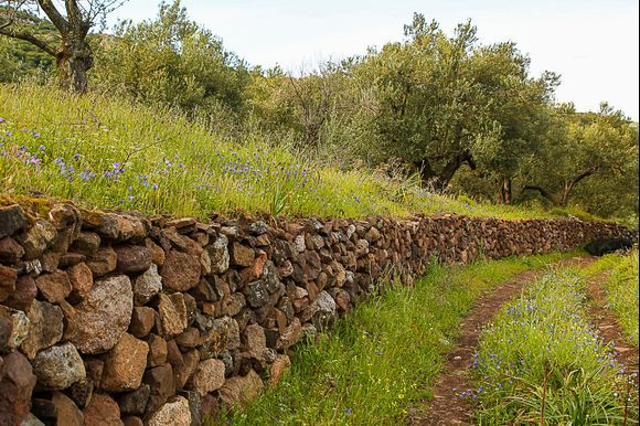 Dry stone wall on Lesbos