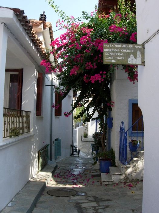 Typical street in Skiathos town