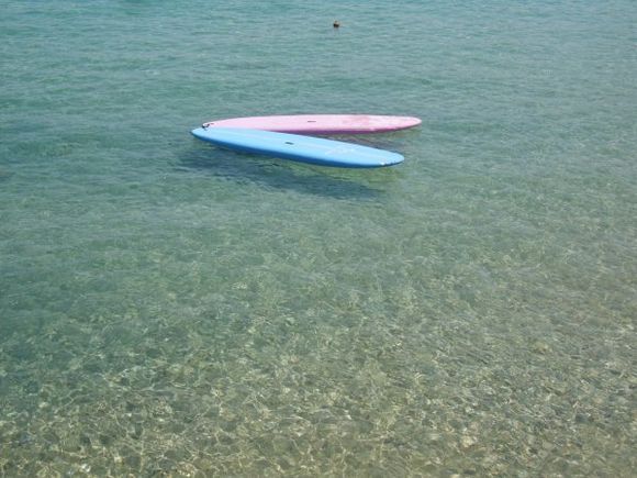 pink and blue boards