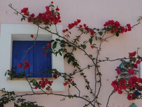 Small window with flowers in Assos