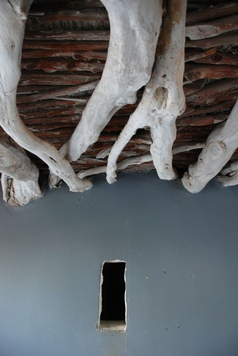 Wood snakes, Amorgos