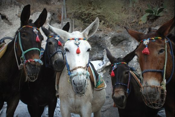 group photo, Santorini