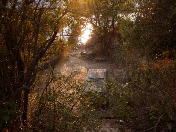 Ancient times.
Explorer Wilhelm Dφrpfeld\'s grave in Geni wood.
Far from his family and his homeland, a man is resting under the shades of trees in the island where he found his roots.