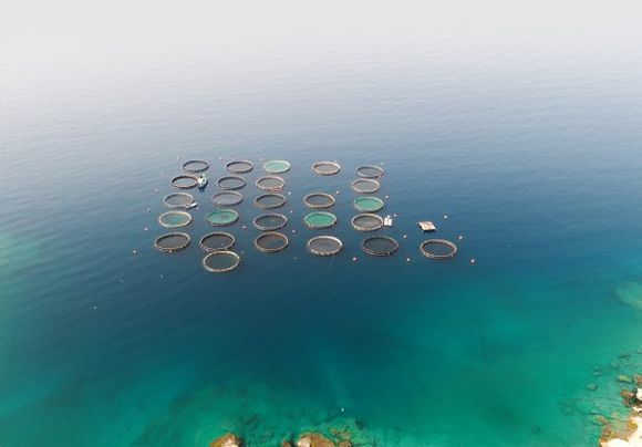 fish farm

Argolida, Peloponnese