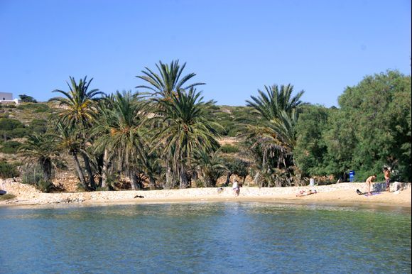 The beach of Agia Irini. A really small one but those palm tree always inspiring me.