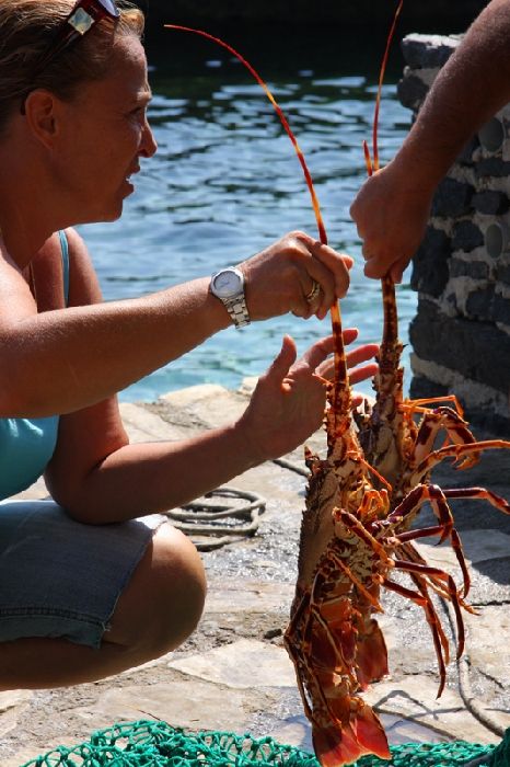 Port of Moutsouna. Lobster selection