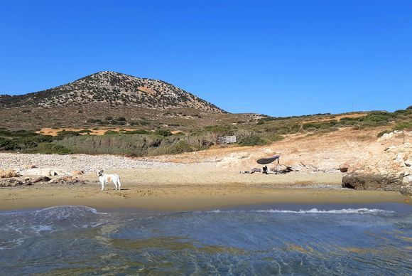 A small unknown beach in the area of Ayiassos. One of the few left.