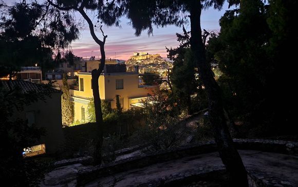 Night walk in the Arditos little forest