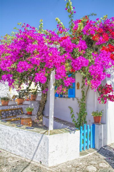When the visitor thinks of traditionally built streets and alleys, colorful courtyards and Cycladic architecture, then he should, without doubt, visit Artemonas!