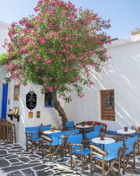 Imagine yourself strolling along the narrow alleys of Paroikia or just sitting there drinking your coffee and dreaming!