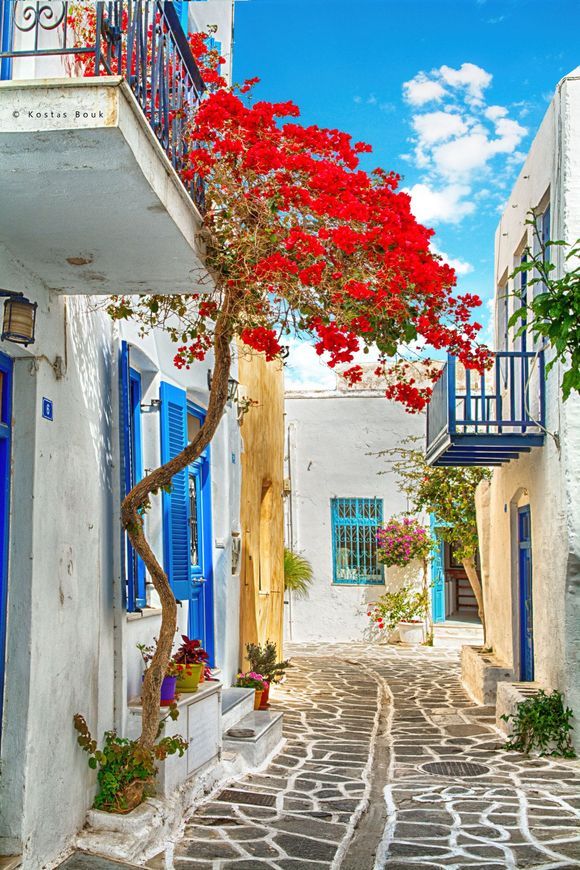 Colorful and amazing Paros!