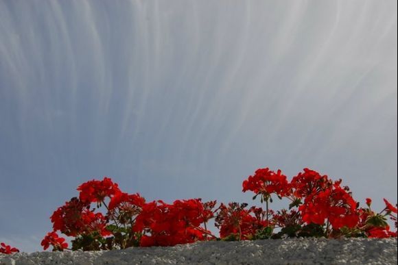 spring time in Oia