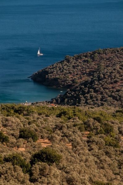 Samos, Limnionas