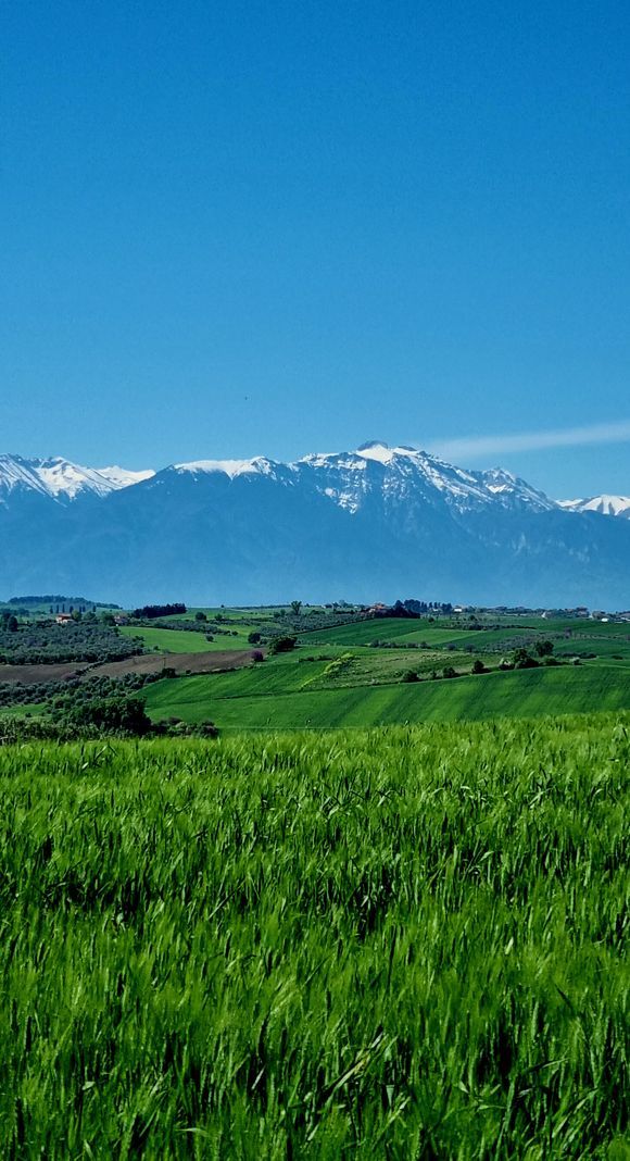 Spring in Greece,  Mount Olympus 