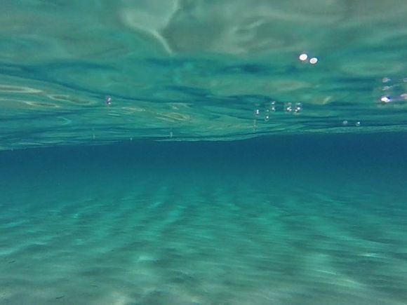 Underwater platia punda