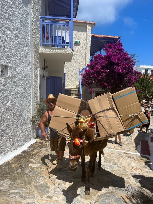 Delivery man on the island of Alonissos 😀
