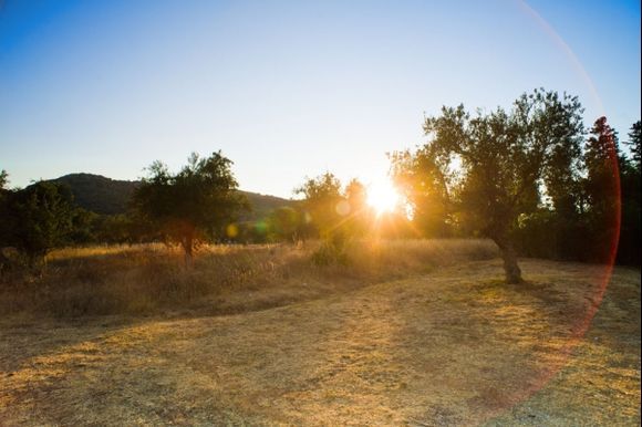 Sunset over an organic olive farm on Zakynthos