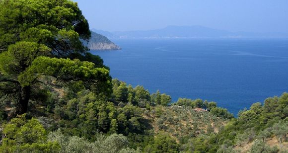 View taken from above Megali Ammos showing verdant forested pines