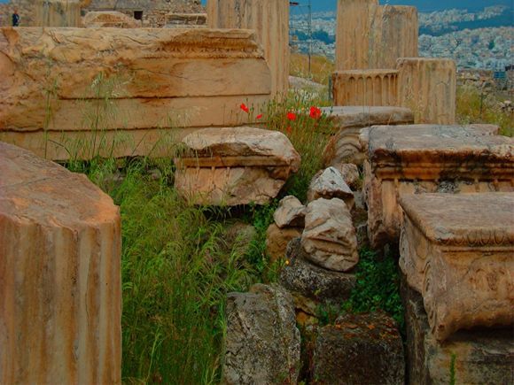 Poppies among the Ruins