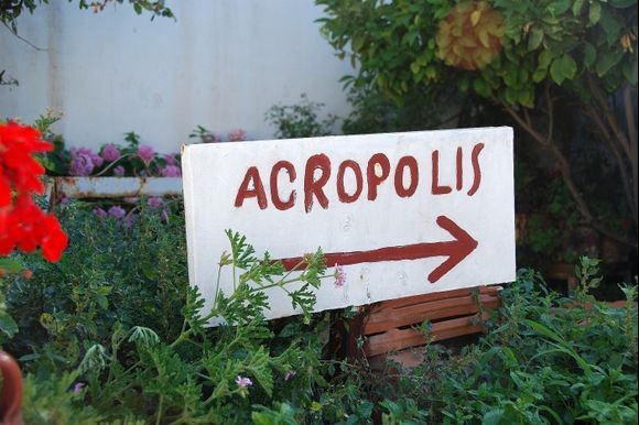 Acropolis this way.... Felicia -Aroney