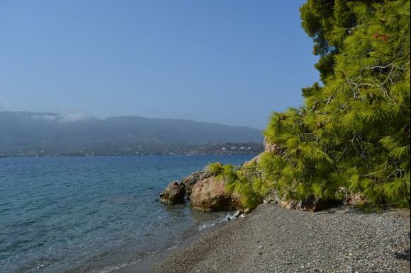 Green pine trees, yellow rocks and blue sea - ideal combination
