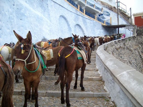 Fira, SantoriniFira, 