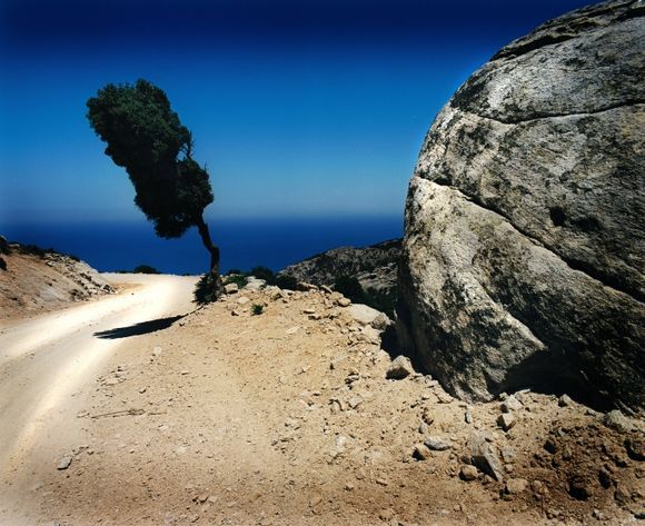 Lone tree on a dust road on the island of Ikaria
